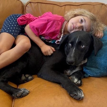 Oakley Sweet Paws — thumbnail 3