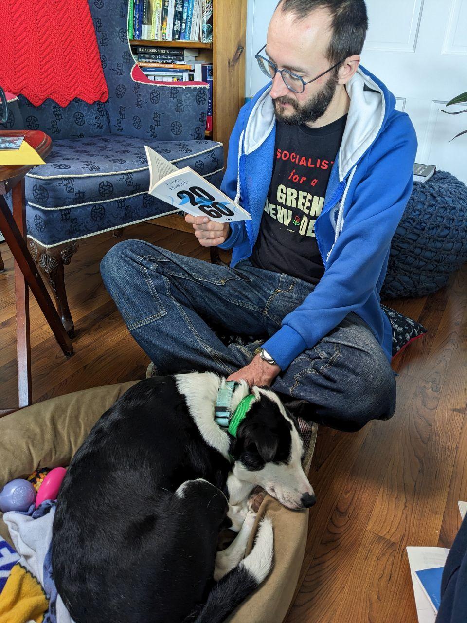 Enlarge Jewel in Maine, a ADOPTABLE mixed breed in South Portland, ME image 1/6