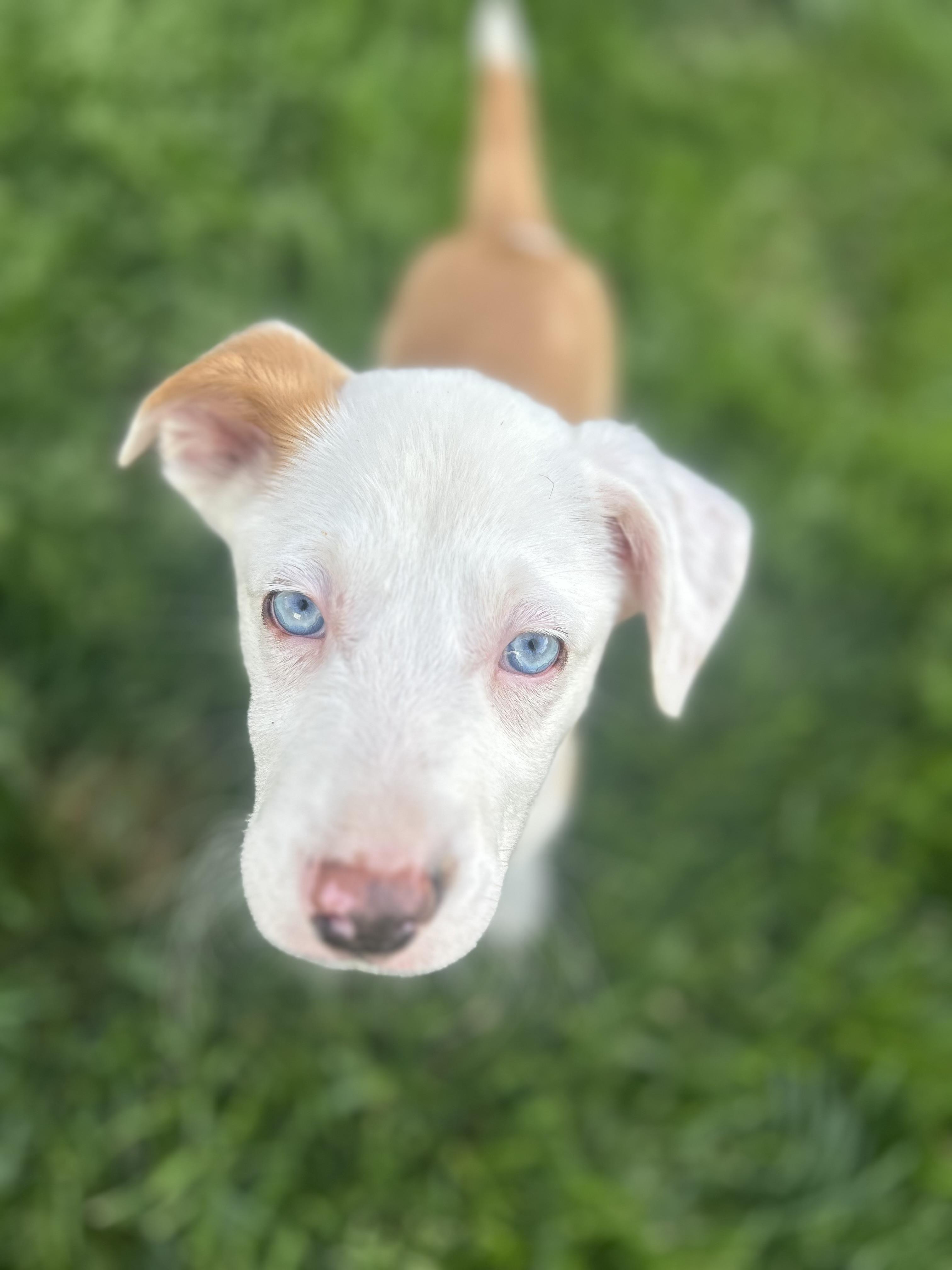 Vanilla Ice thumbnail 3