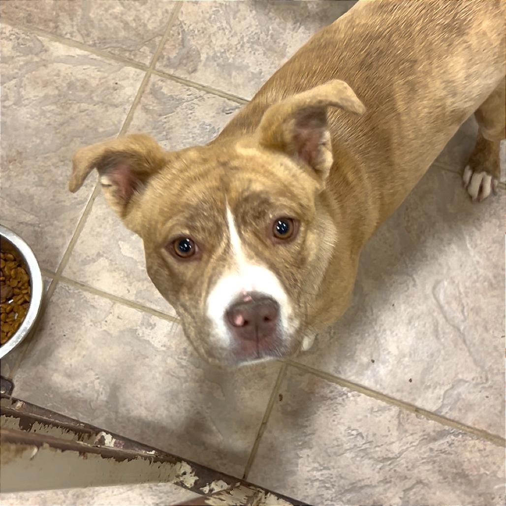 Lainey — thumbnail 2