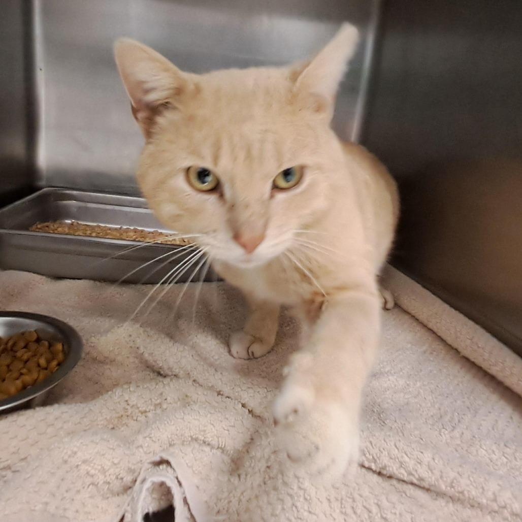 Spud — thumbnail 2