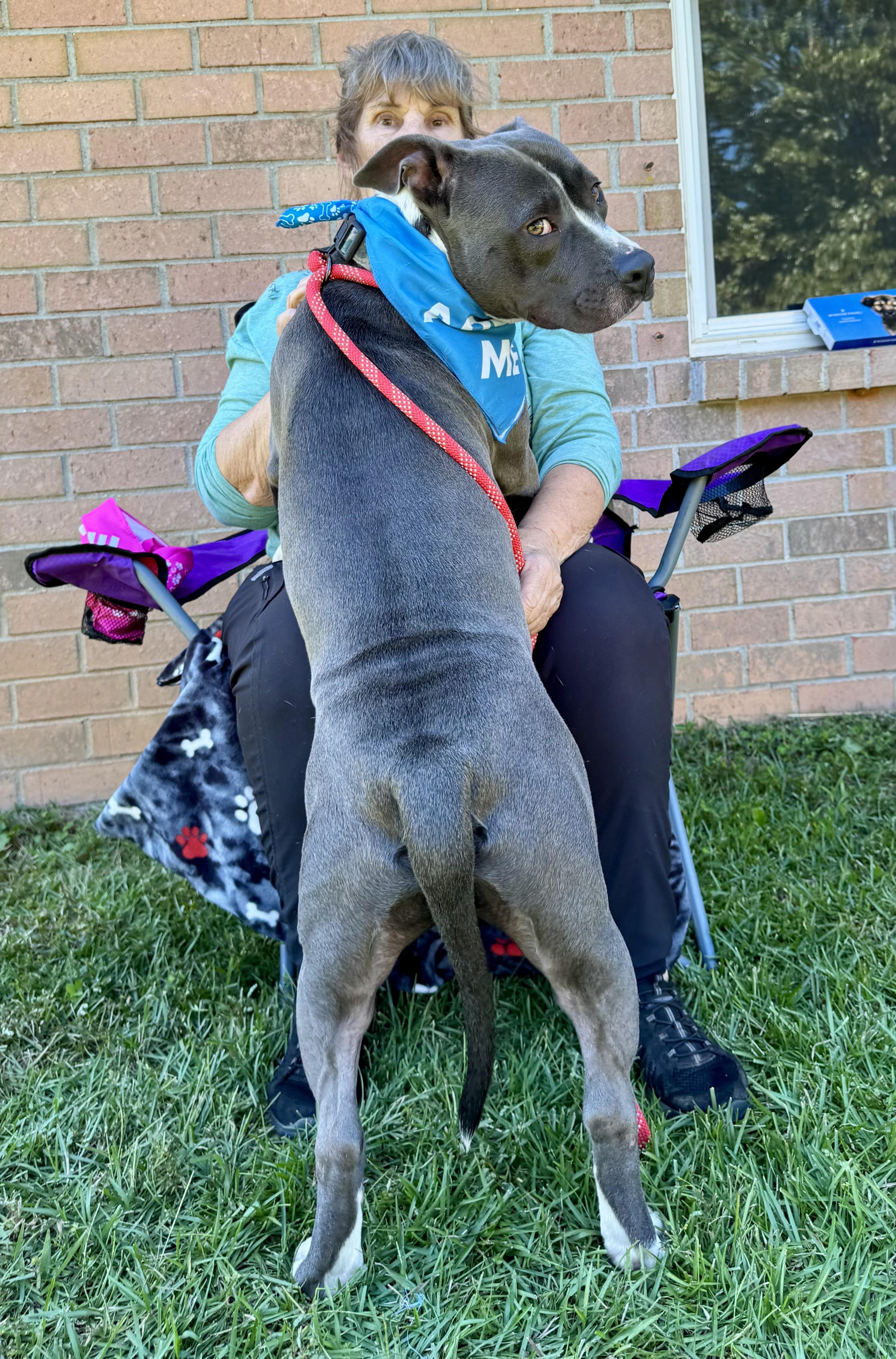 Enlarge PICKLES!  From a chain to THIS!!!!, a Adoptable mixed breed in Cantonment, FL image 5/6