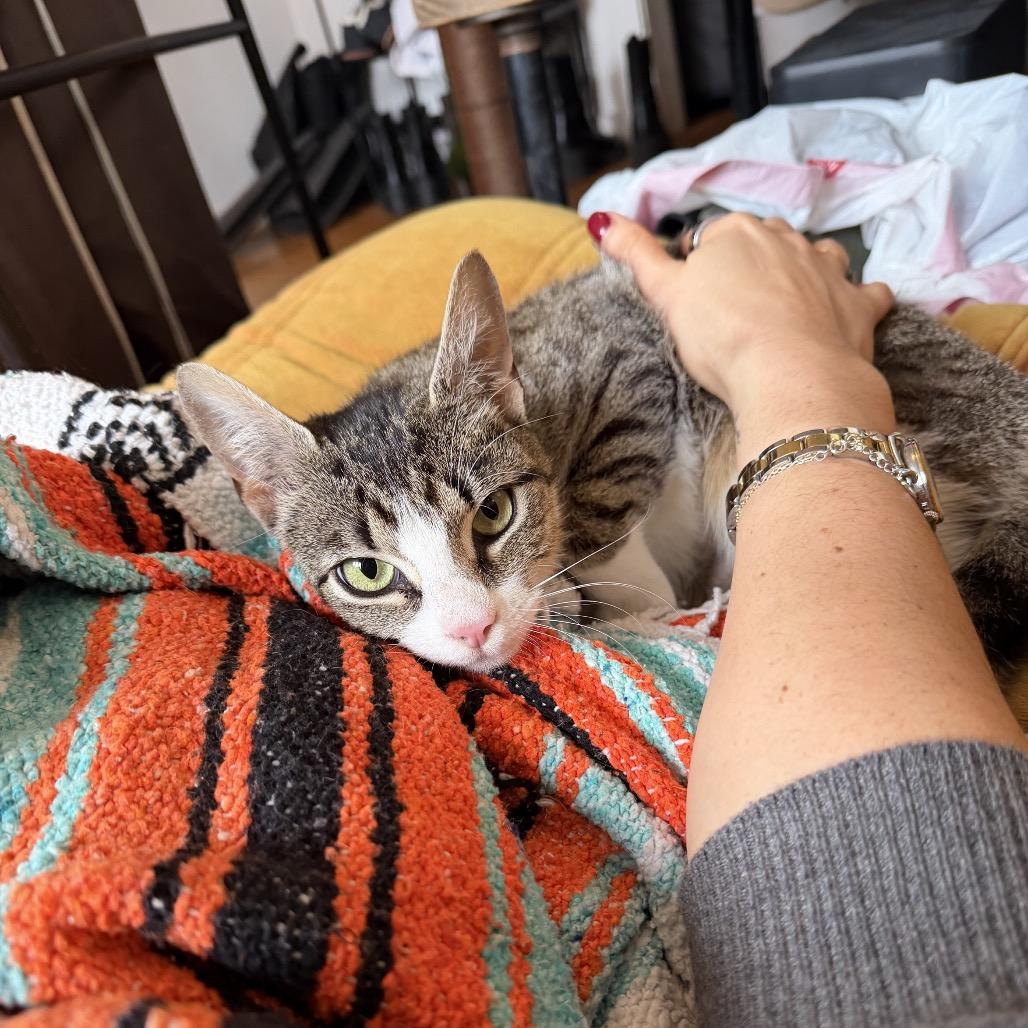 Mrs. Claus — thumbnail 3