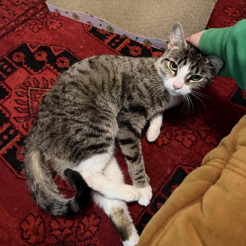 Mrs. Claus — thumbnail 4