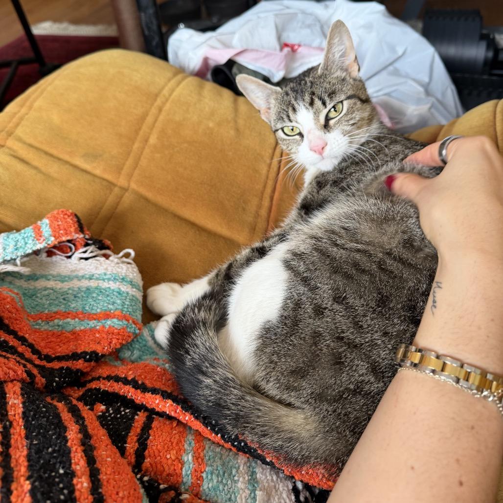 Mrs. Claus — thumbnail 5