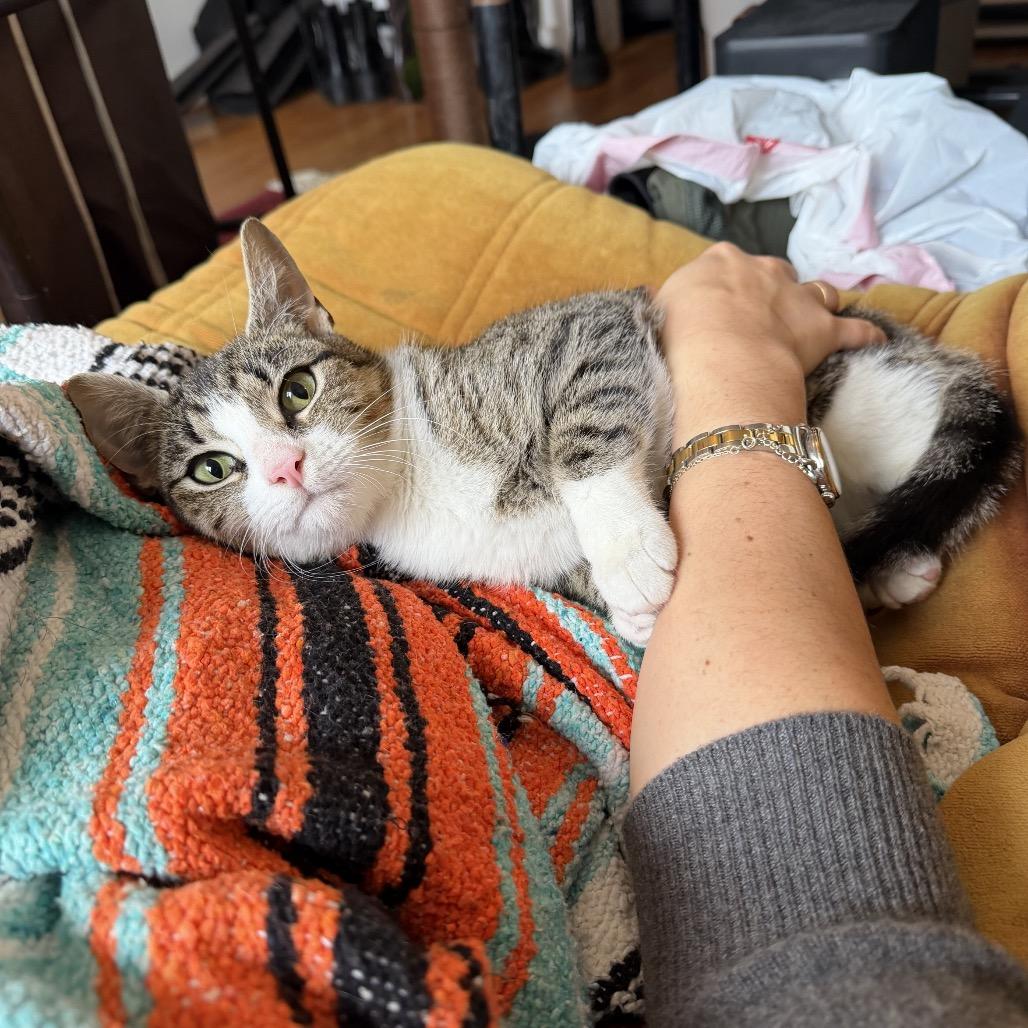 Mrs. Claus — thumbnail 6