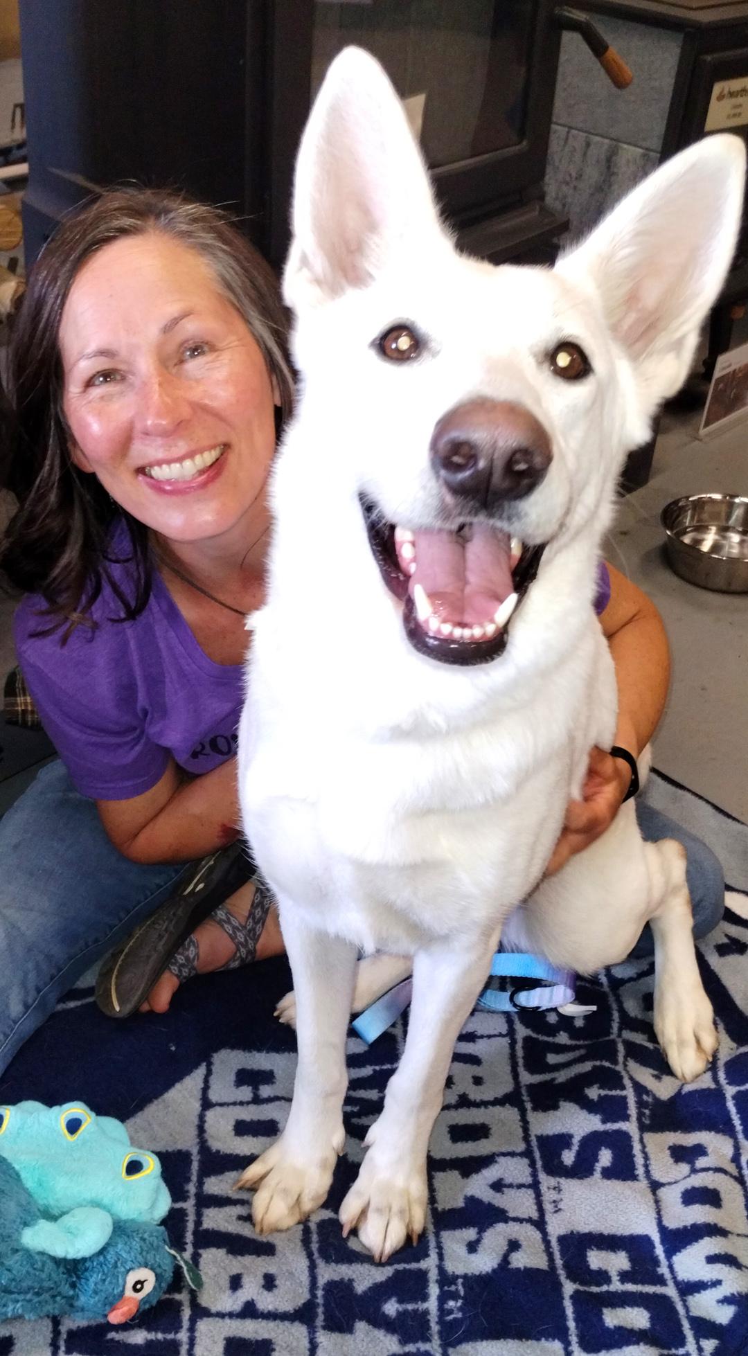 Enlarge Bella, an adoptable mixed breed in Benton Harbor, MI image 1/3
