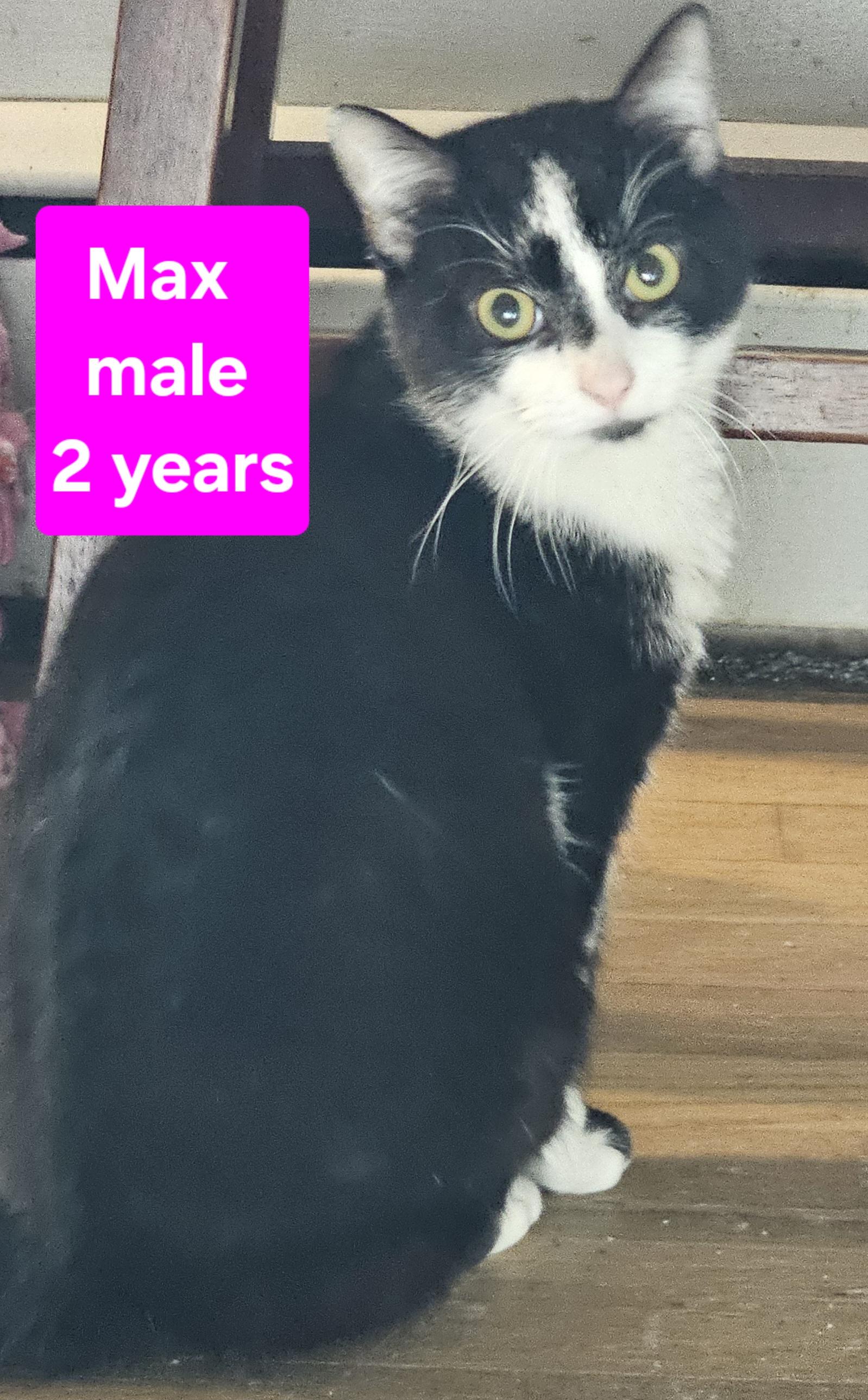 Max