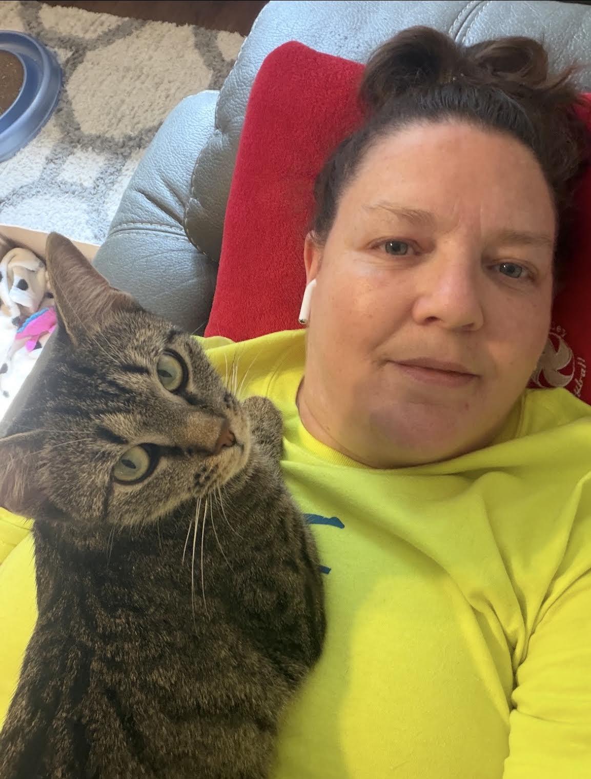 Enlarge Dojo Cat, a Adopted Domestic Short Hair in Greenburgh, NY image 6/6