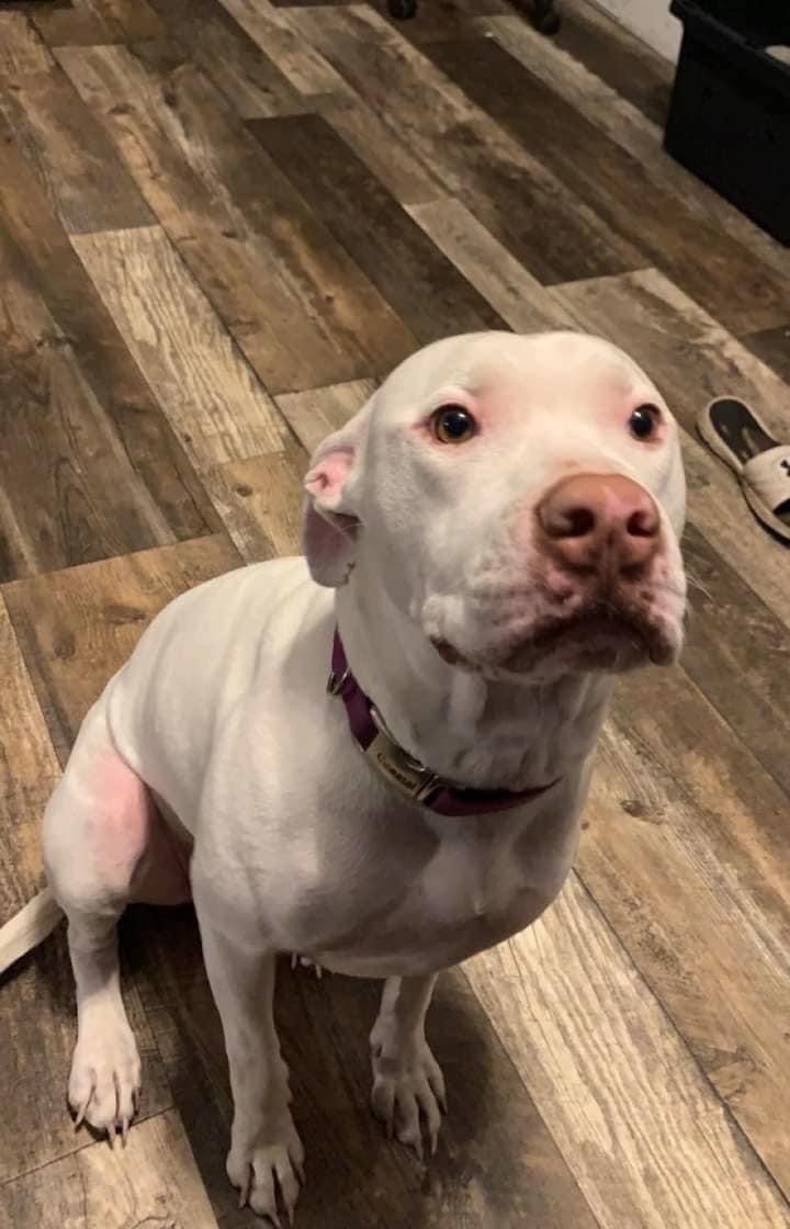 Shadow **courtesy post**