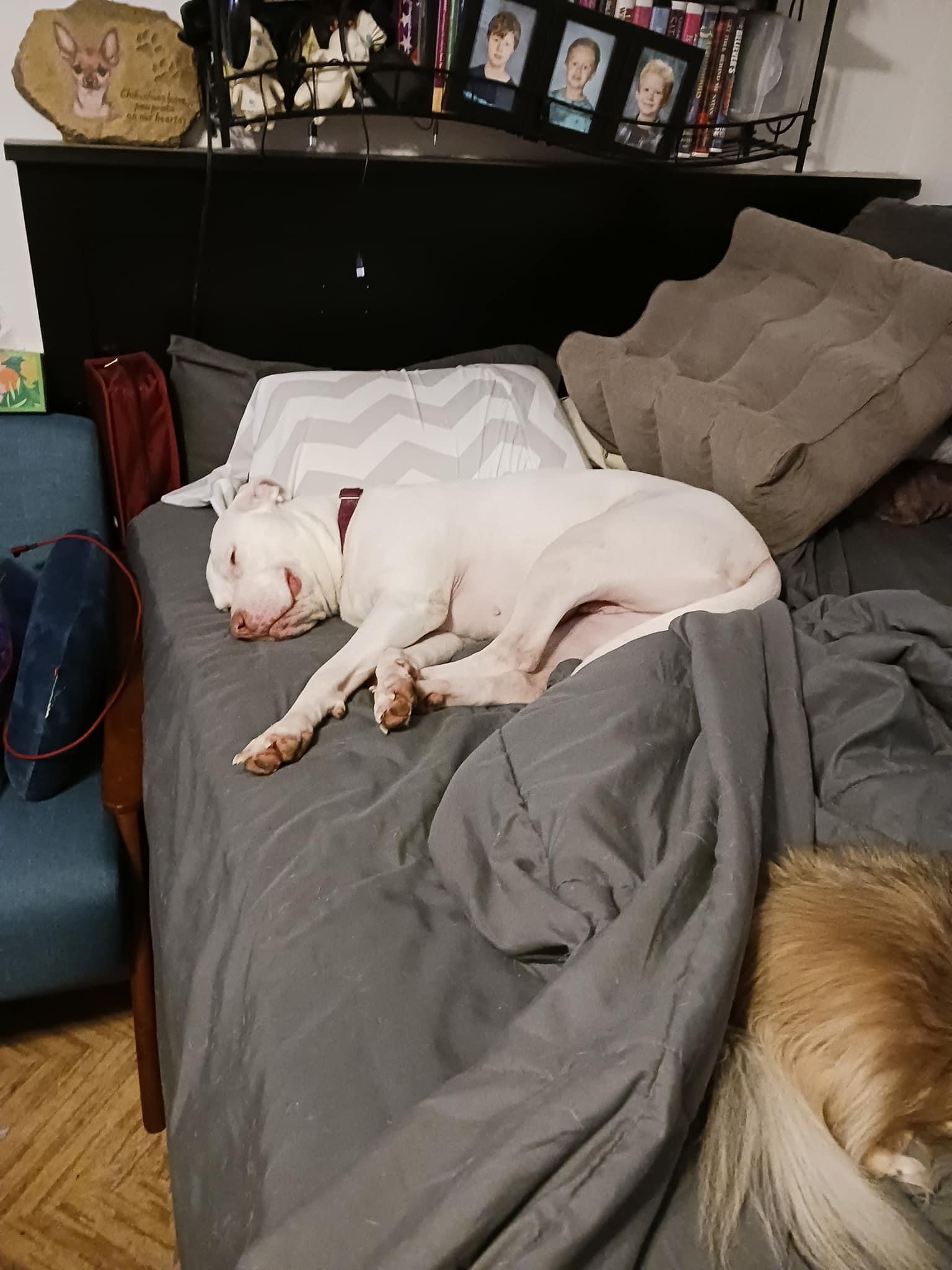 Shadow **courtesy post**