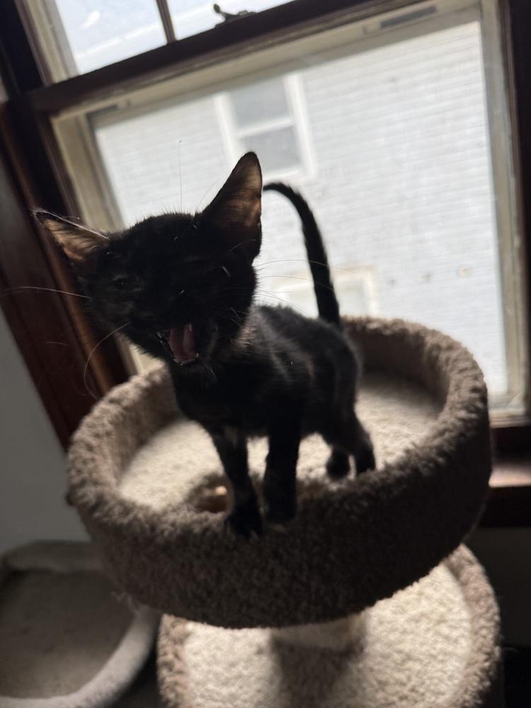 Meemaw Lasagna photo