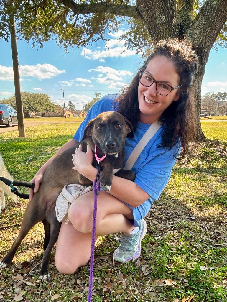 Lena 26, Adoptable, Young Female Mixed Breed.