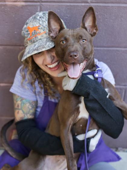 Brandi, a Adoptable Mixed Breed in Atlanta, GA image 3/3