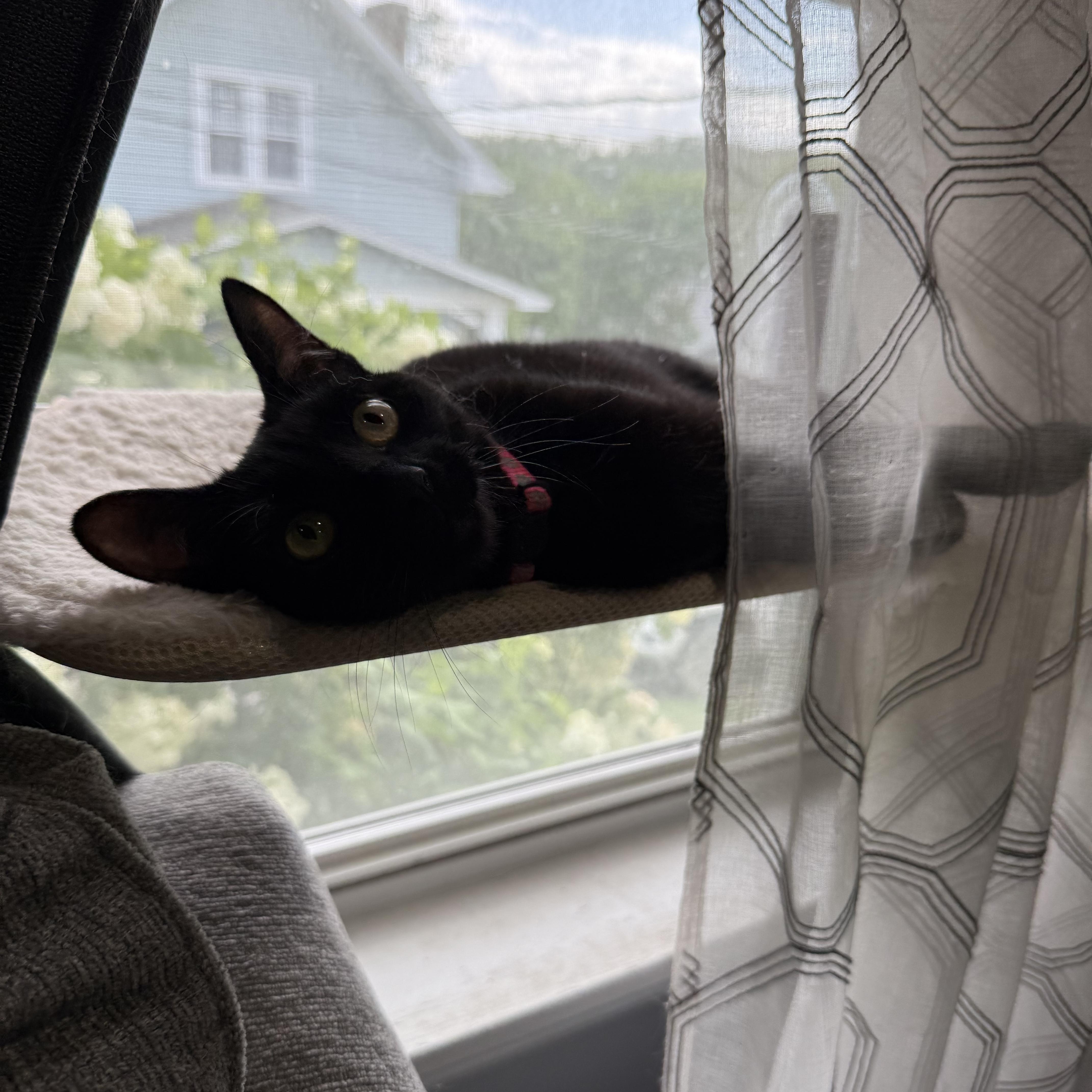 Boo 2