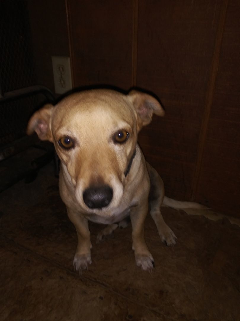 Murrie photo 2
