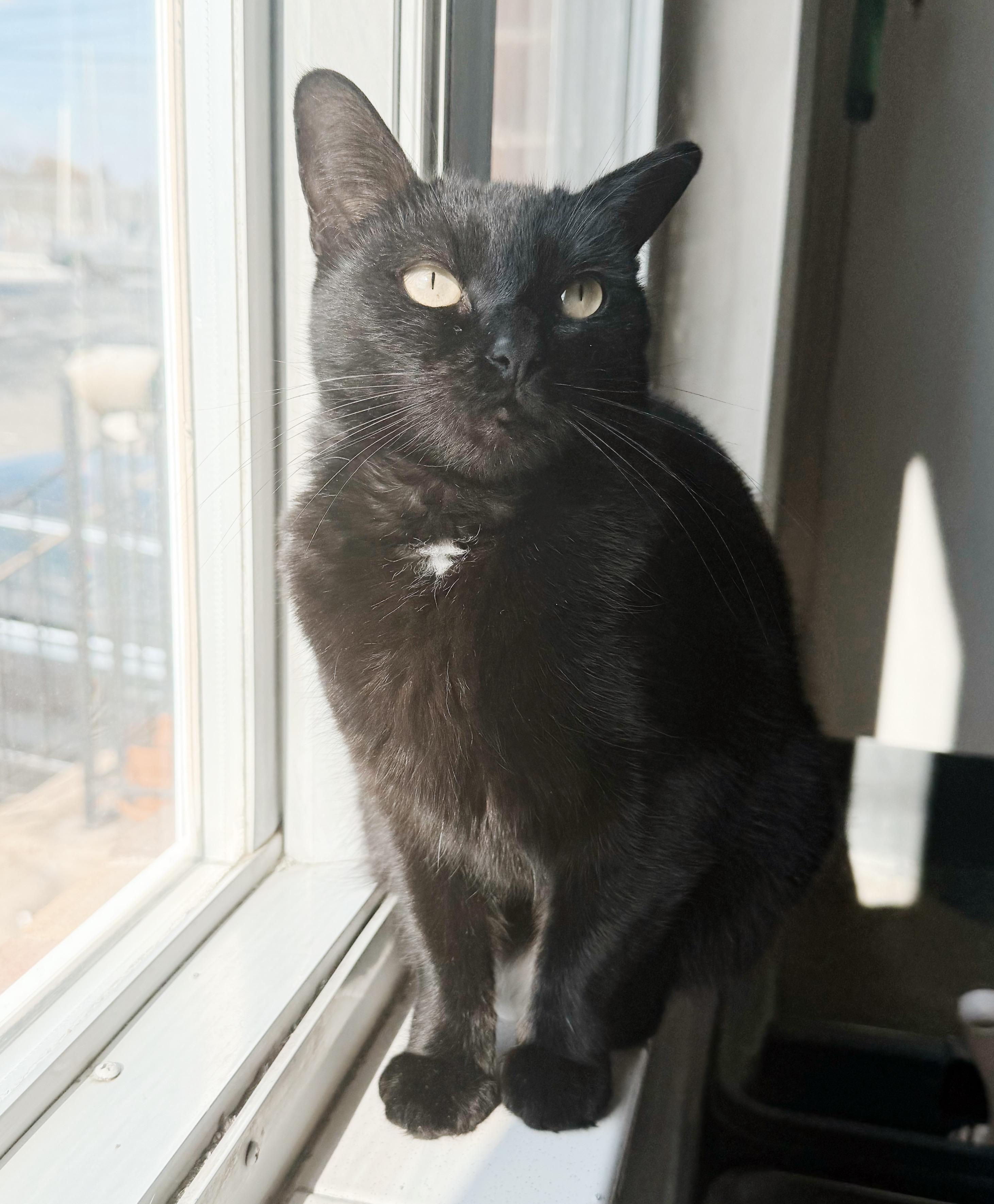 Wednesday thumbnail 6