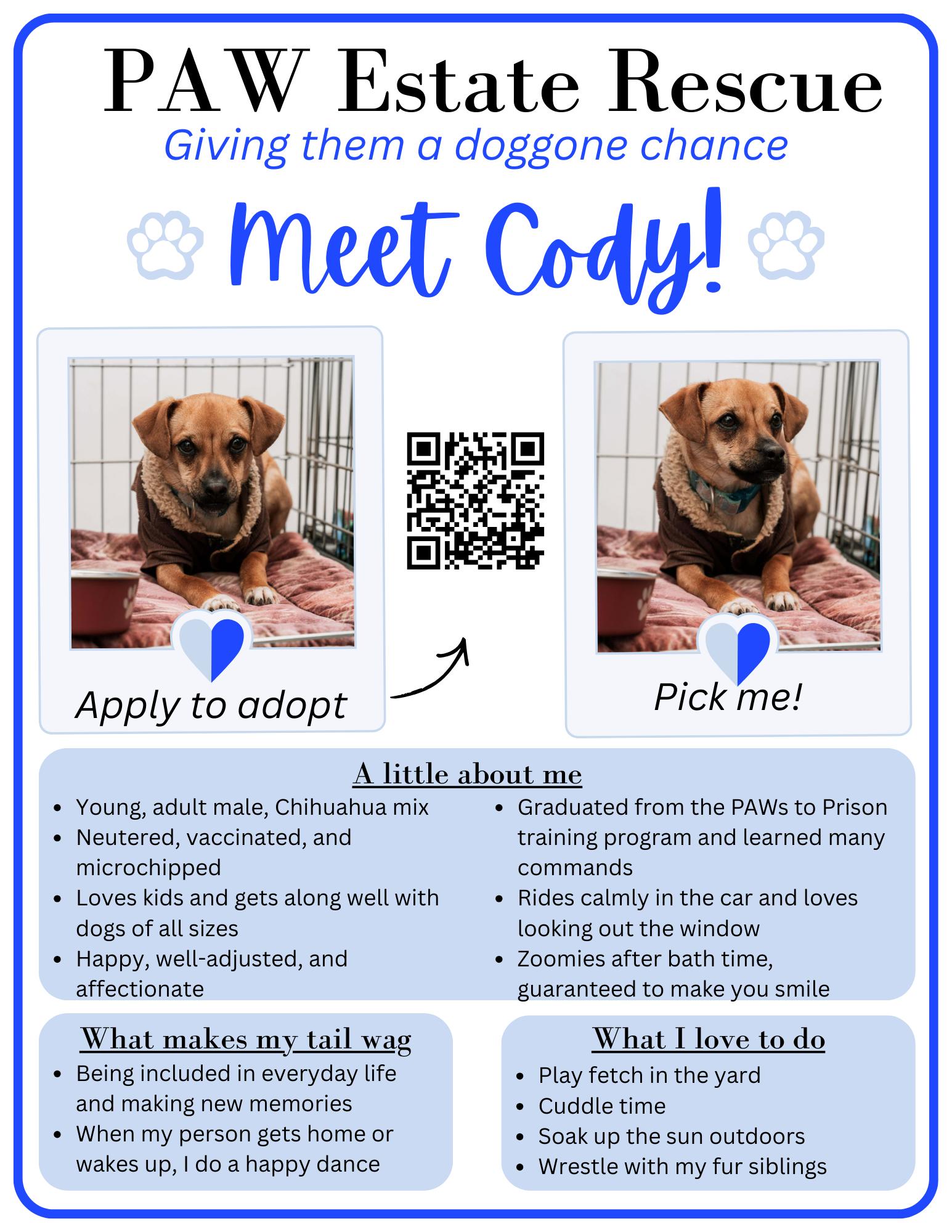 Enlarge Cody, a Adoptable Chihuahua in Visalia, CA image 2/3