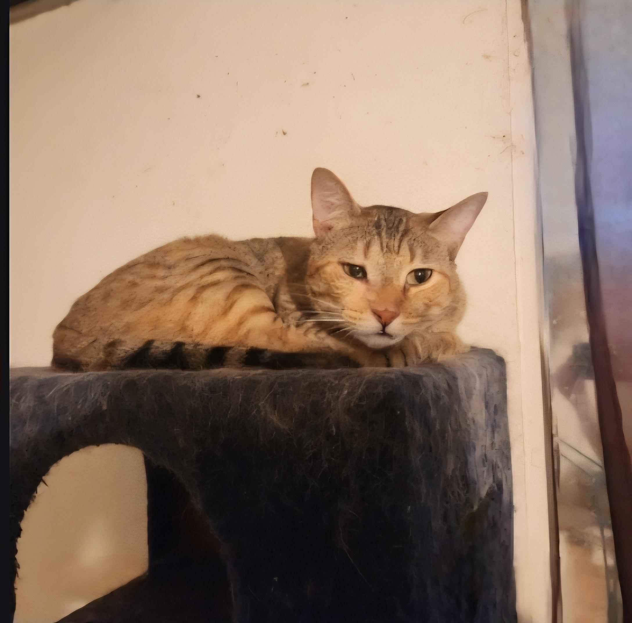 Sandy (AKA, Goldilocks)