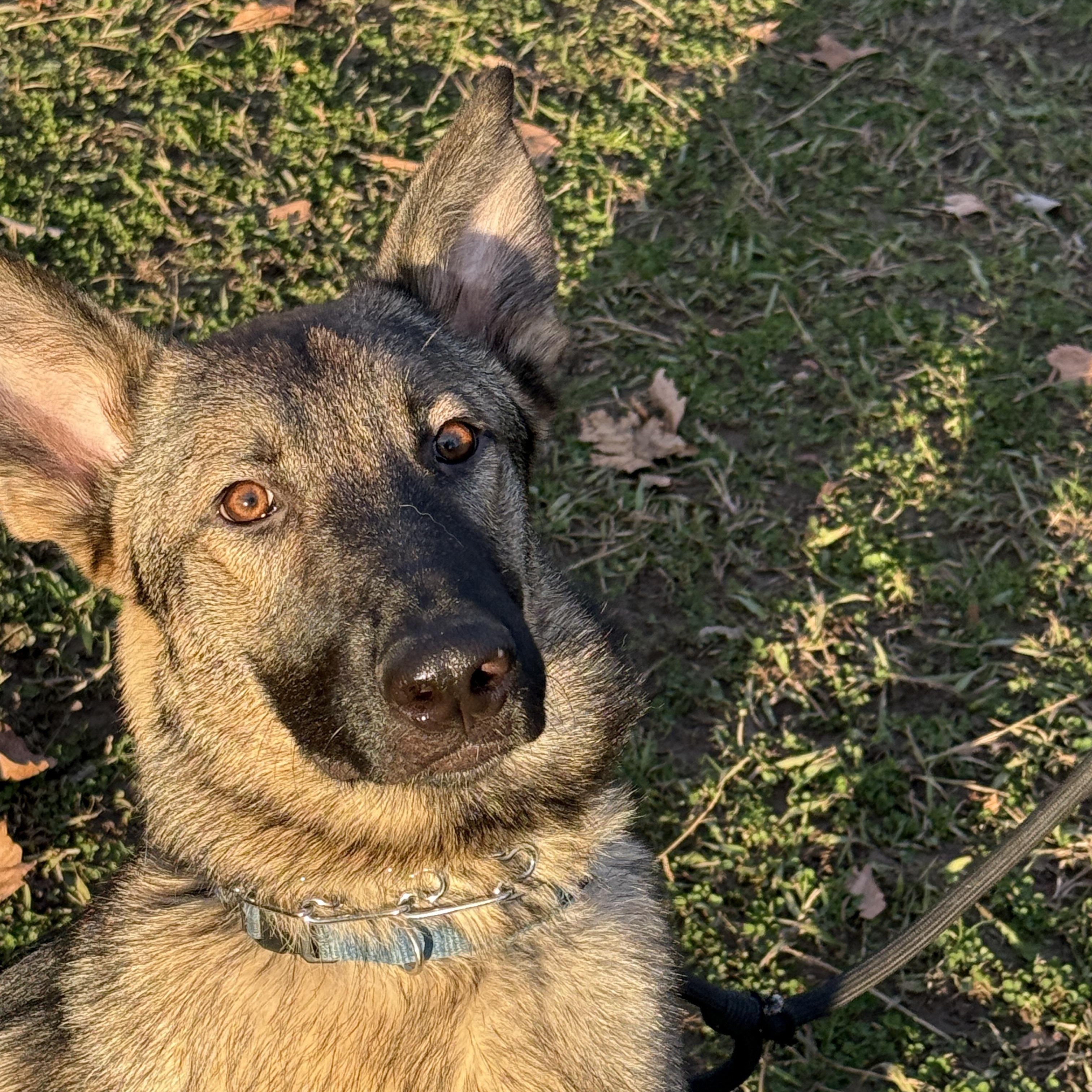 Rookie 0125 — thumbnail 2