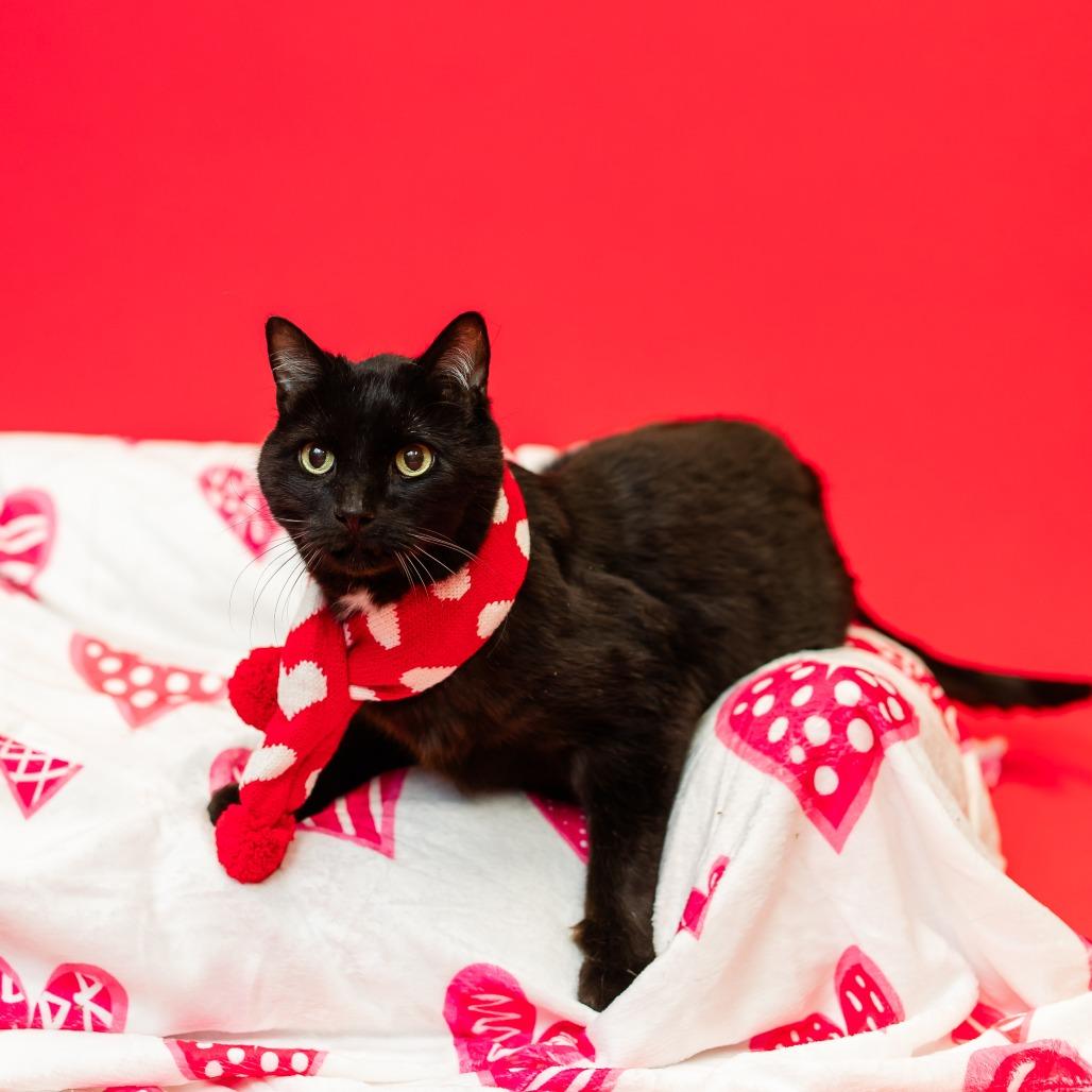 Biggie Smalls--In Foster — thumbnail 2