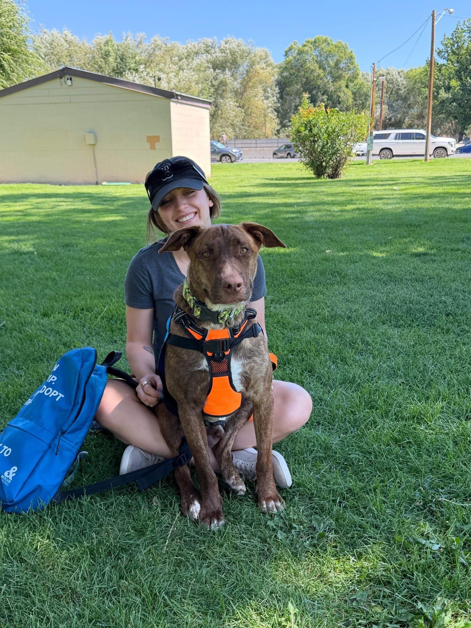 Zeek, a ADOPTABLE mixed breed in Prineville, OR image 4/6