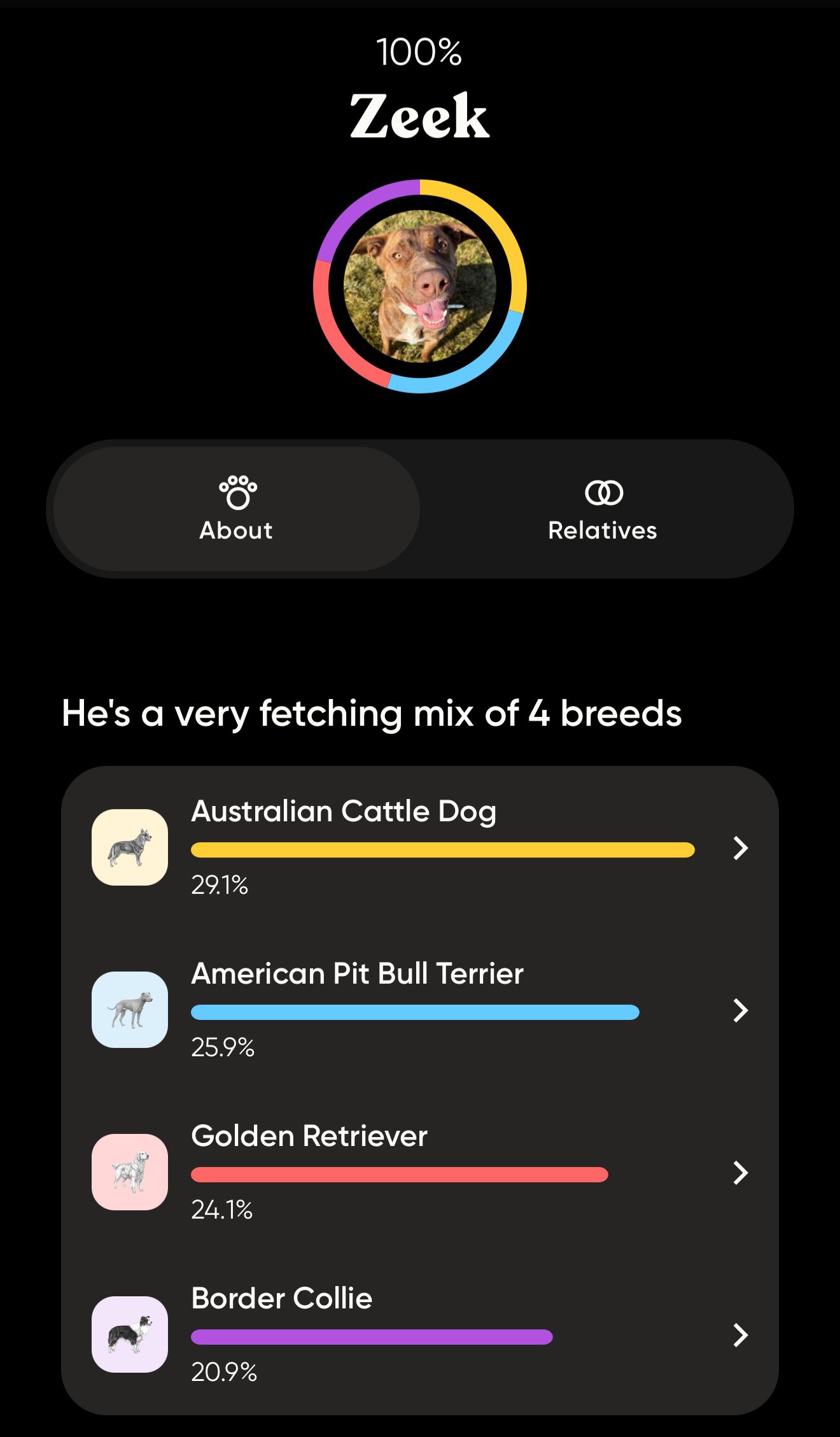 Zeek, a ADOPTABLE mixed breed in Prineville, OR image 6/6