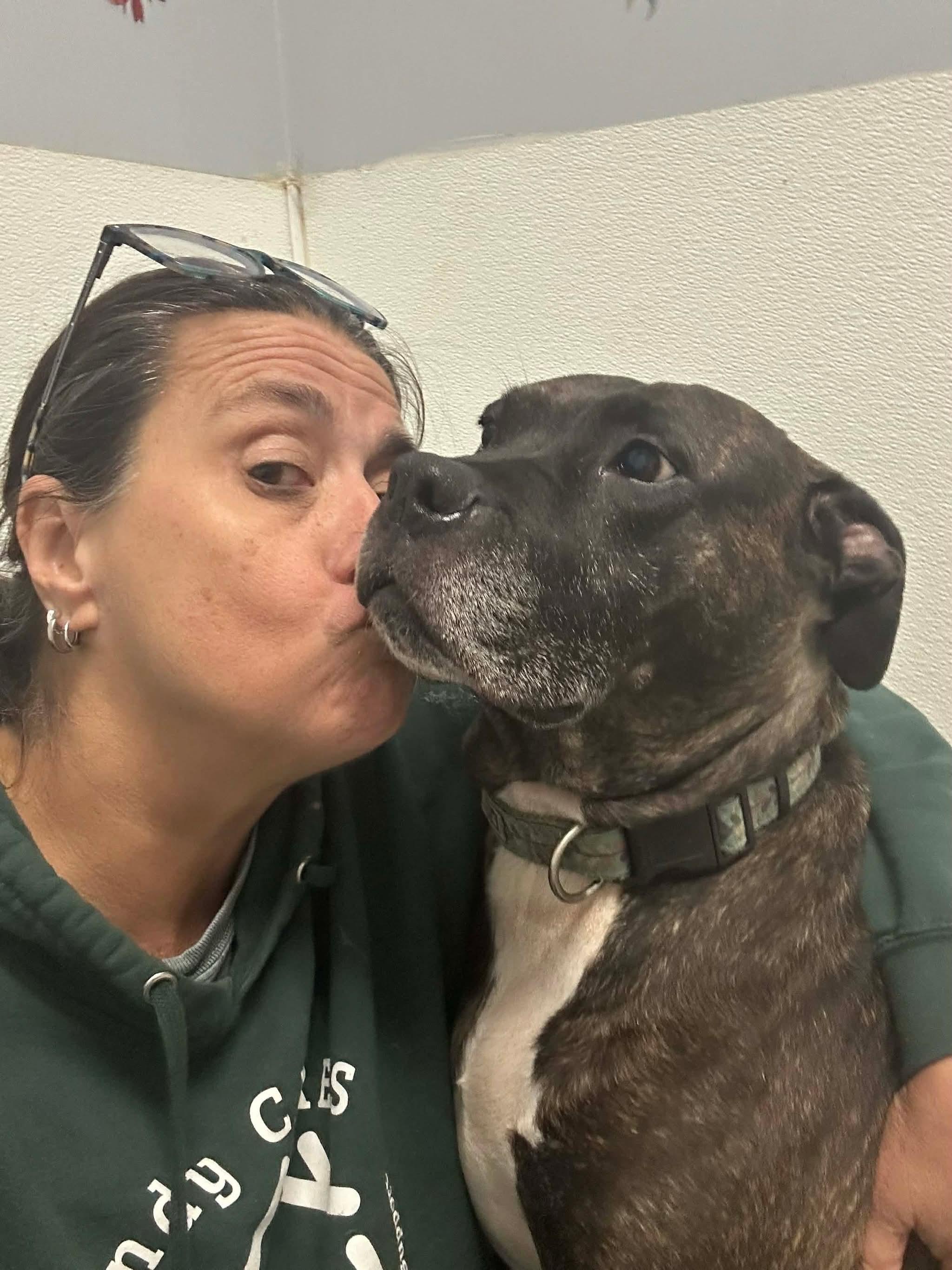 Enlarge Lola, a Adoptable mixed breed in INDIANAPOLIS, IN image 6/6