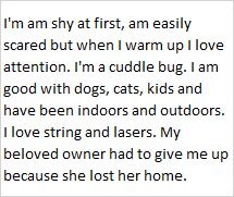 Enlarge Marvin, a Adoptable mixed breed in Libby, MT image 2/2