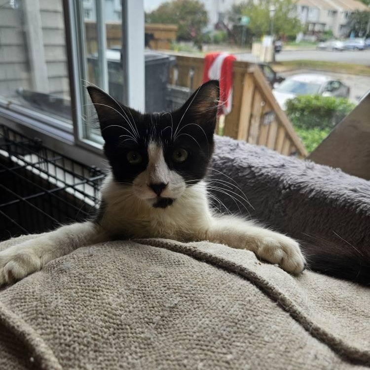 Charlie