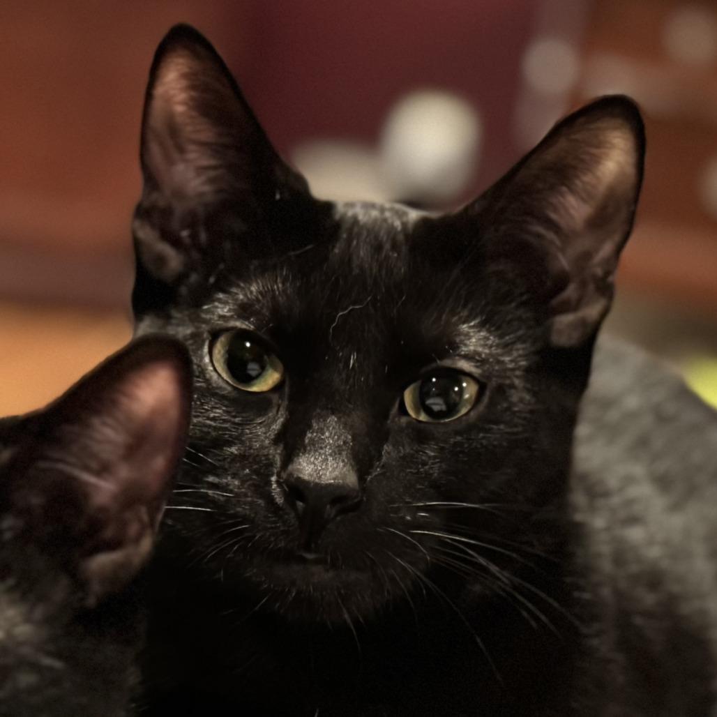 Calvin Klein — thumbnail 2