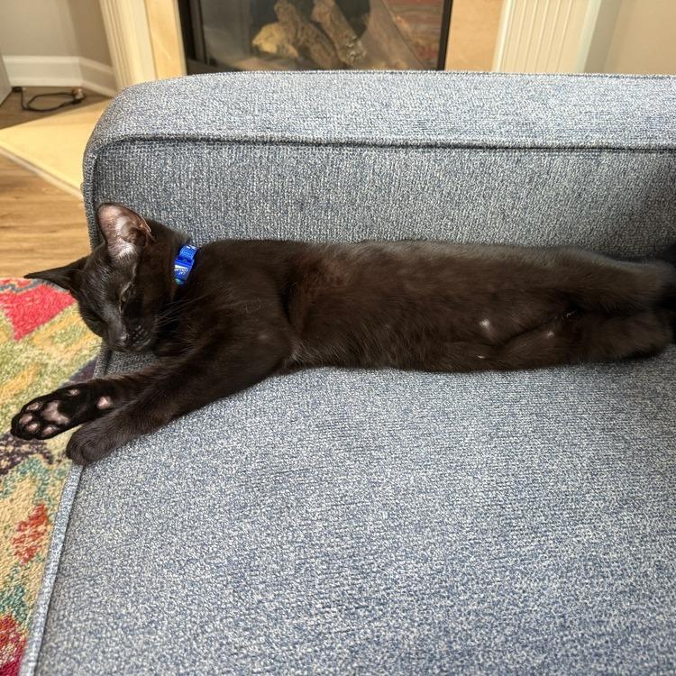 Calvin Klein — thumbnail 4