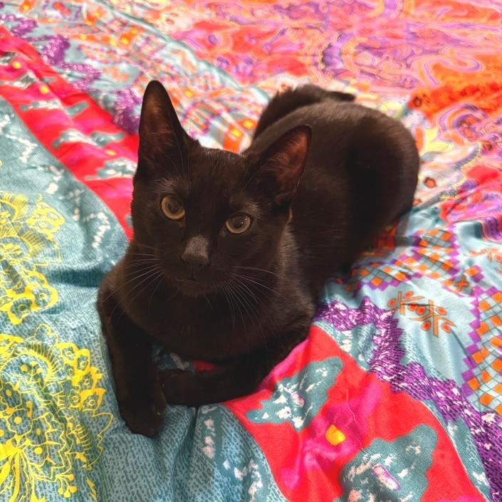 Calvin Klein — thumbnail 5