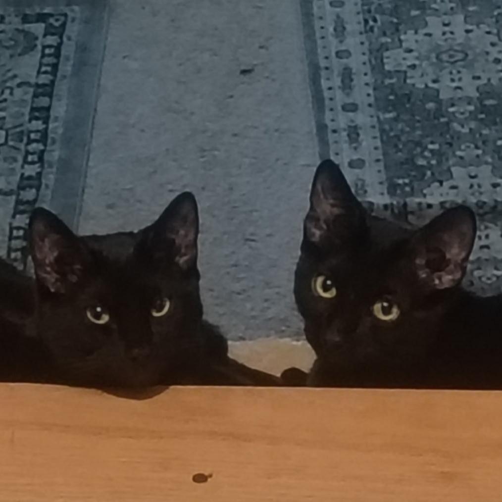 Calvin Klein — thumbnail 6