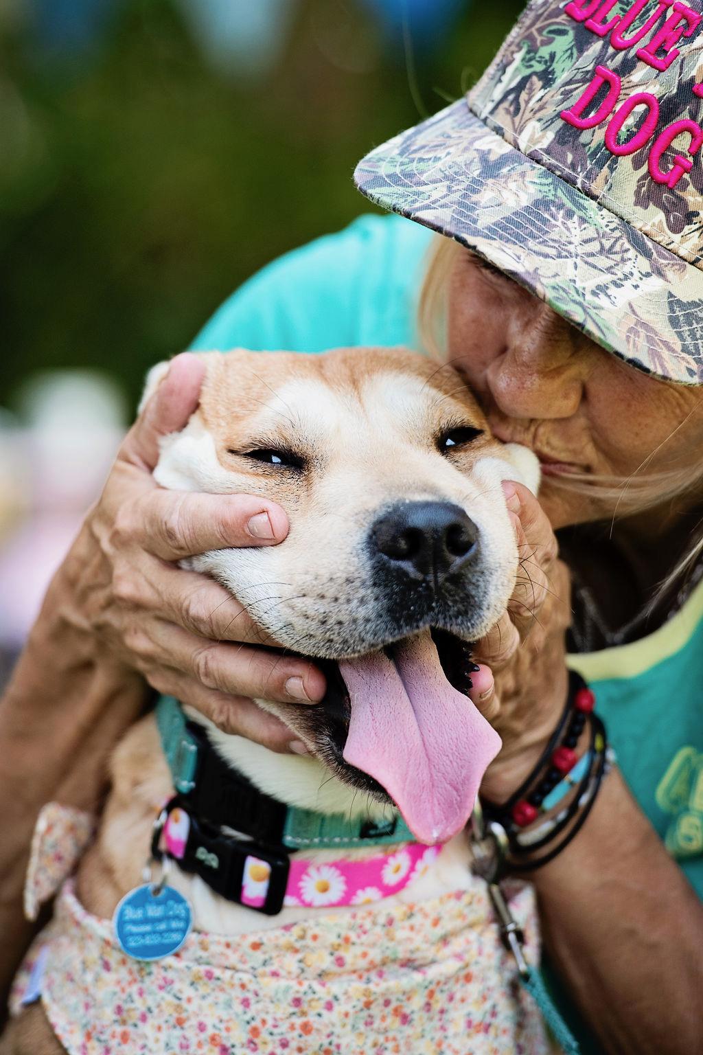 Enlarge Lola - 34 pounds!, an adoptable mixed breed in Burbank, CA image 5/6