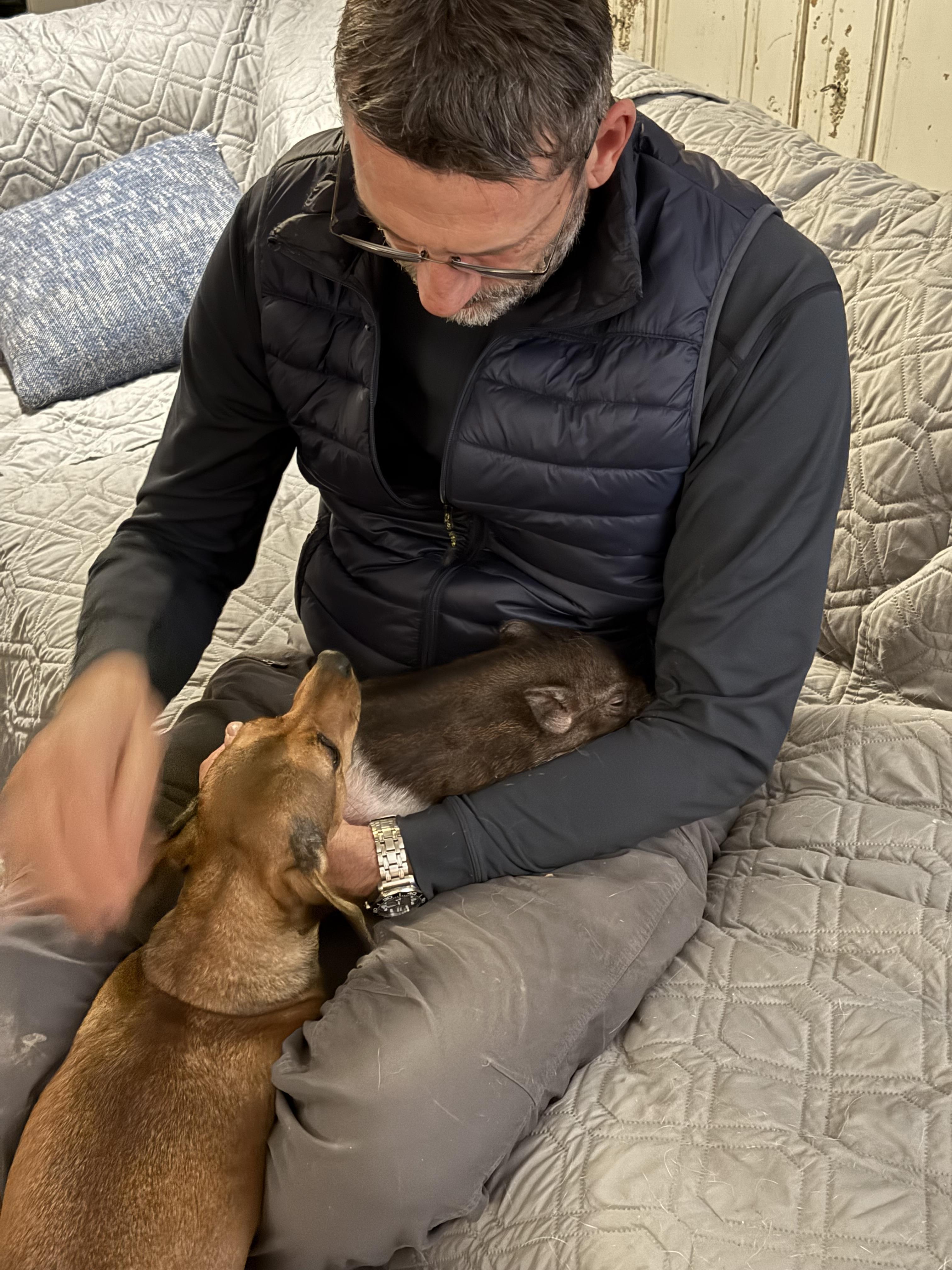 Enlarge Randolph Ocho The Third, a Adoptable mixed breed in Durham, NC image 4/6