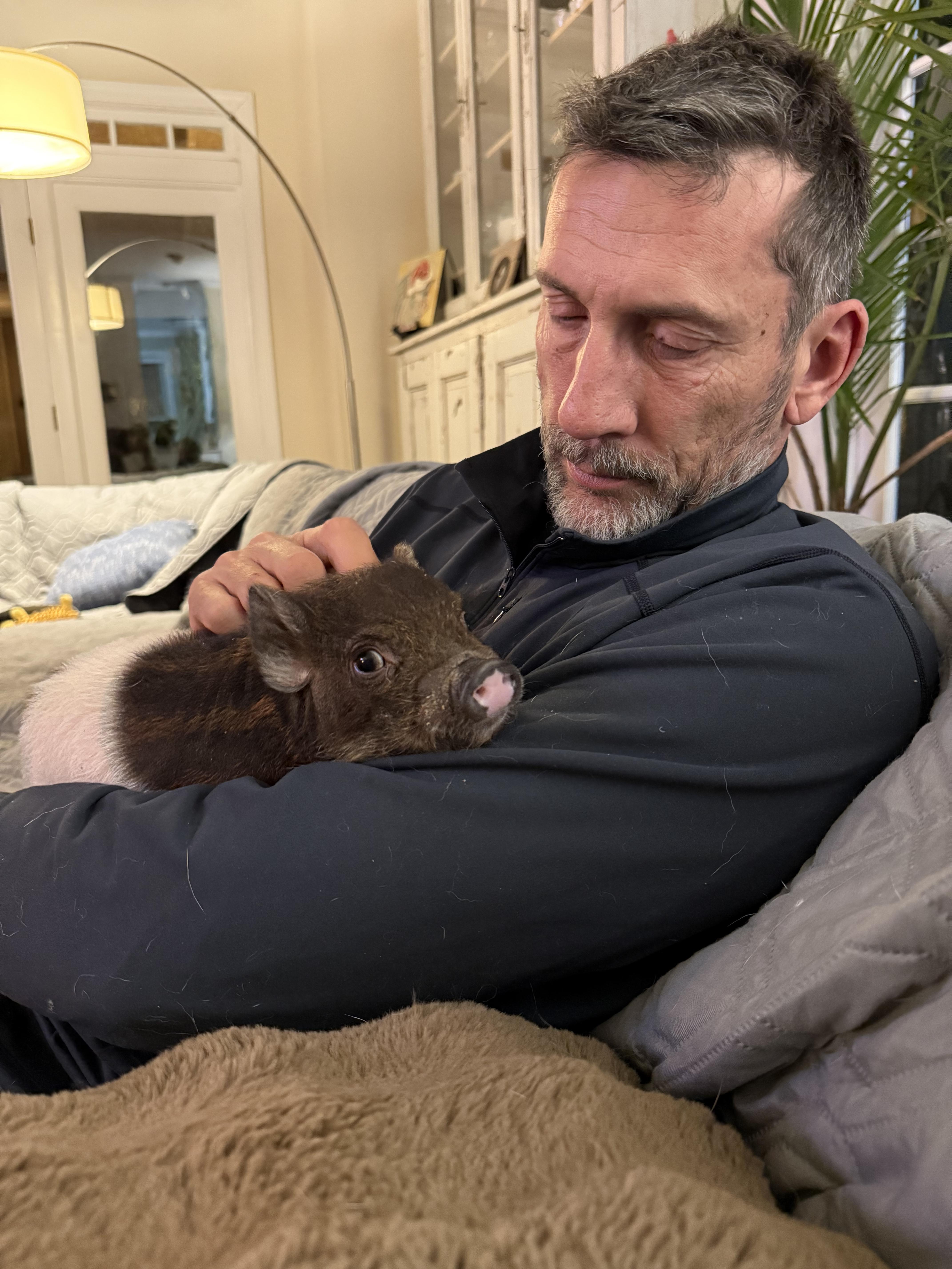 Enlarge Randolph Ocho The Third, a Adoptable mixed breed in Durham, NC image 5/6