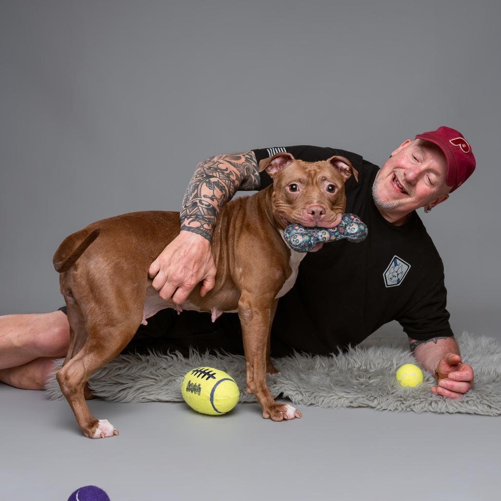 Luna, a Adoptable mixed breed in West Chester, PA image 6/6