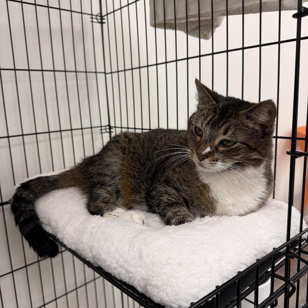 Neptune — thumbnail 2