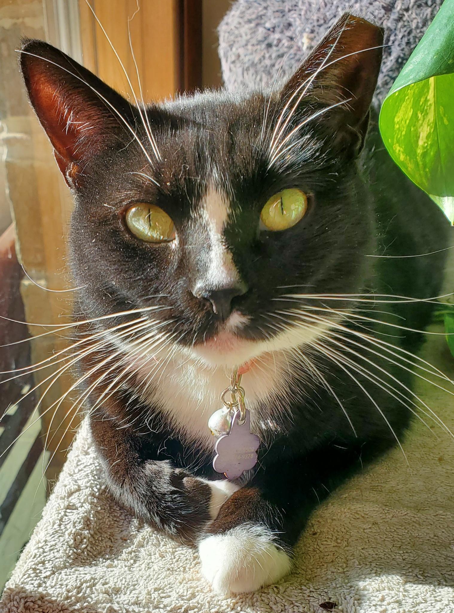Mia photo 2