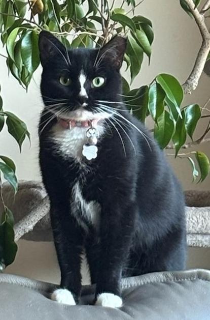 Mia