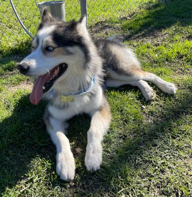 Brecken — thumbnail 2