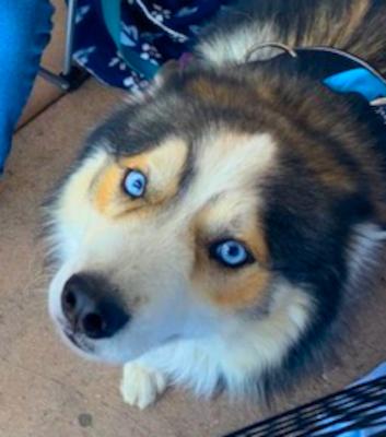 Brecken — thumbnail 3