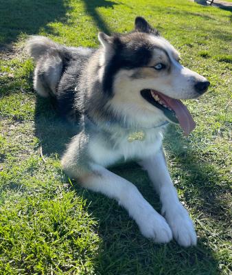 Brecken — thumbnail 4