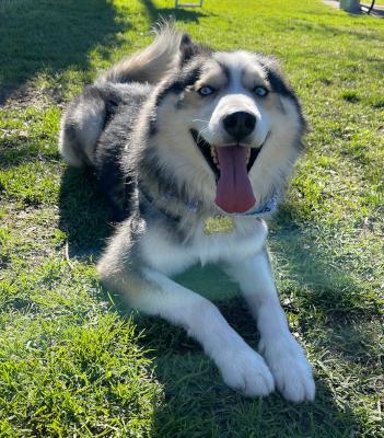 Brecken — thumbnail 5