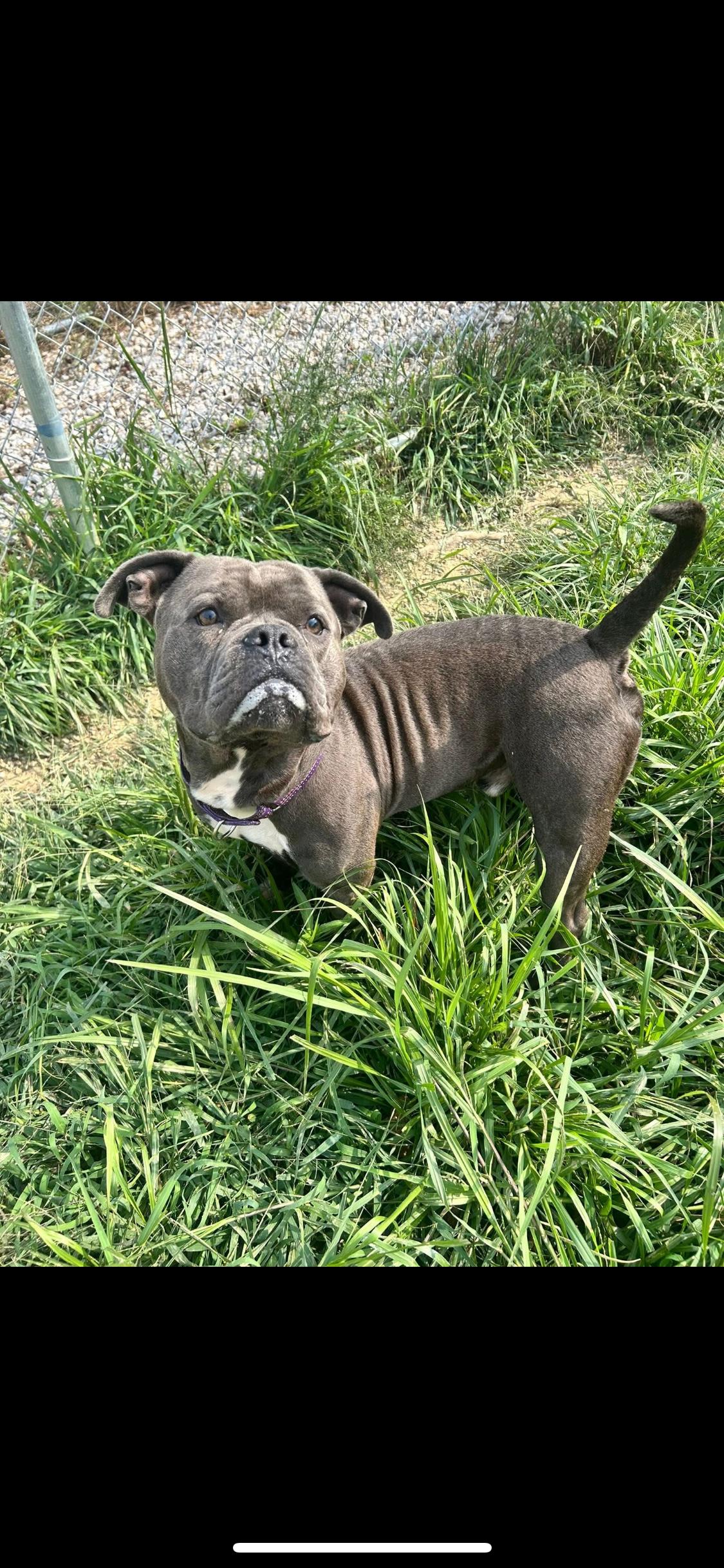 Salvatore