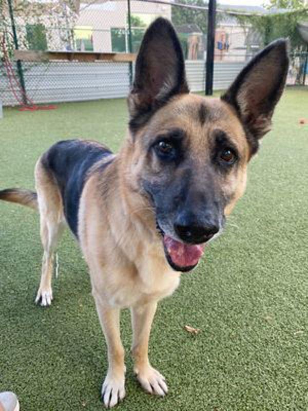 Remi — thumbnail 3