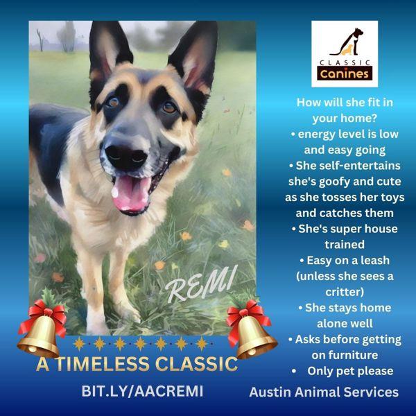 Remi — thumbnail 4