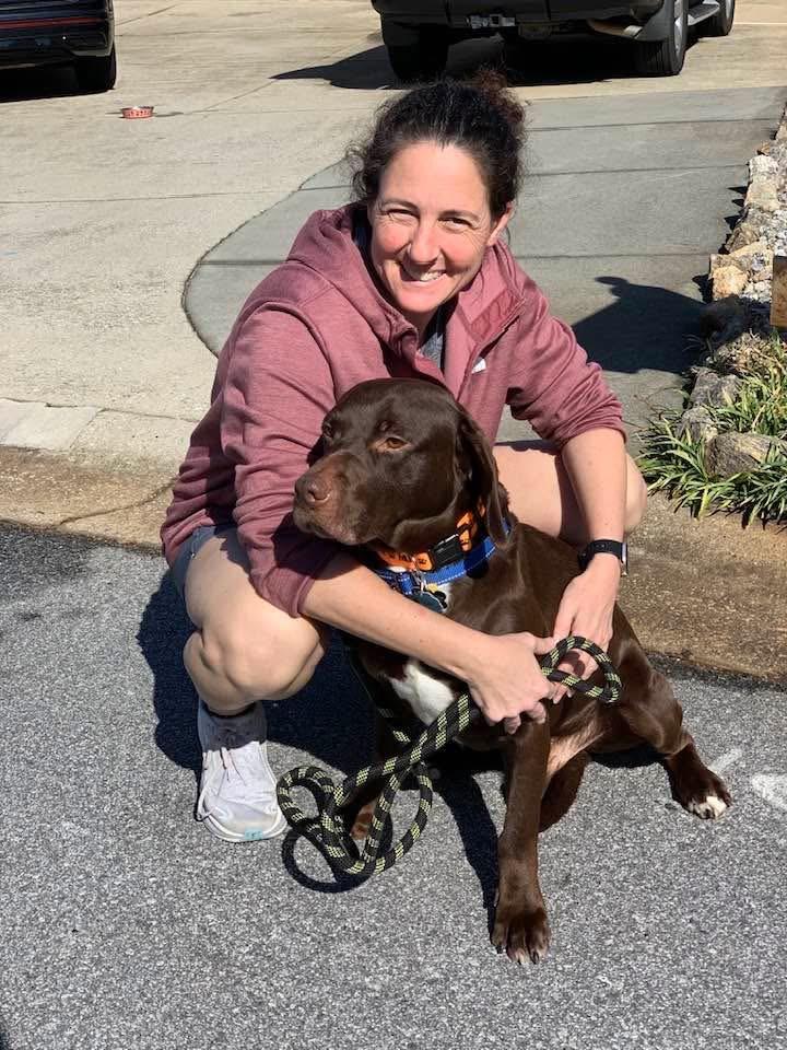 Enlarge Bear , an adopted mixed breed in Douglas, MA image 4/6