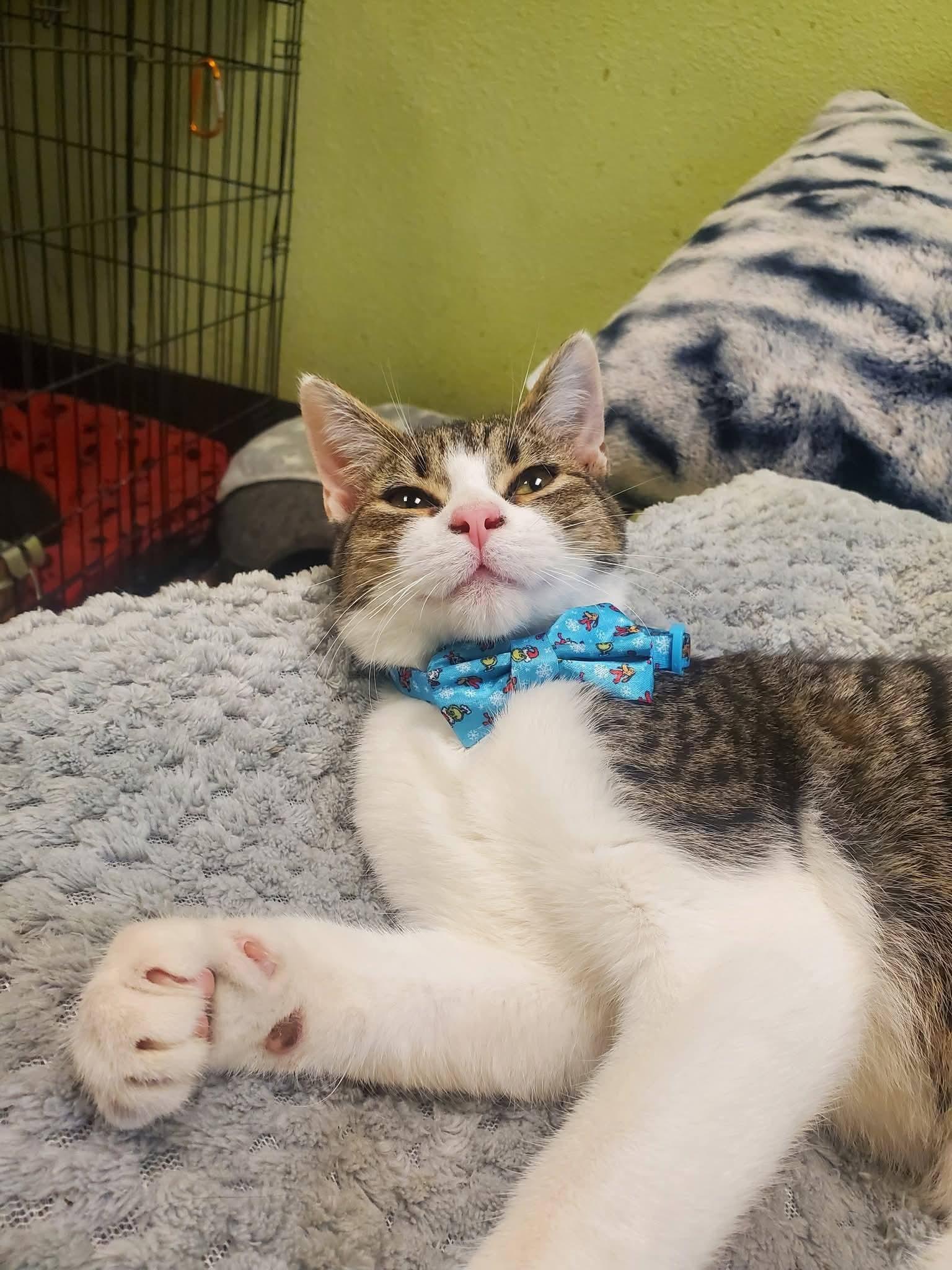 Andy — thumbnail 2